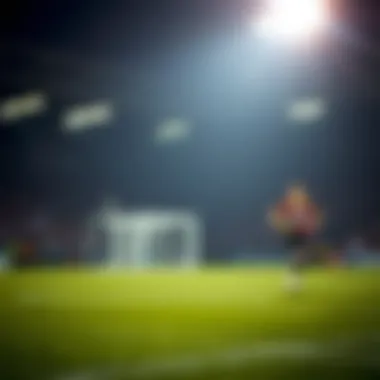 Illustration of success stories in the 7plus betting system