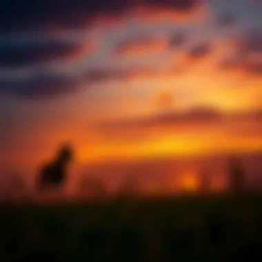 Magnificent 온라인 슬롯 보너스: 기회와 전략 Magnificent 온라인 슬롯 보너스: 기회와 전략
