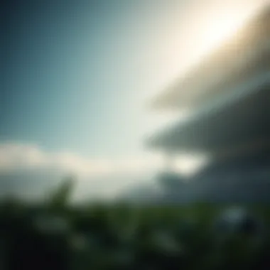 Magnificent 롤 실시간 배팅에 대한 깊이 있는 탐구 Magnificent 롤 실시간 배팅에 대한 깊이 있는 탐구