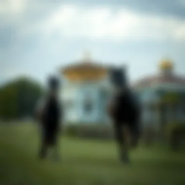 Magnificent 스포츠토토 사이트 추천 Magnificent 스포츠토토 사이트 추천