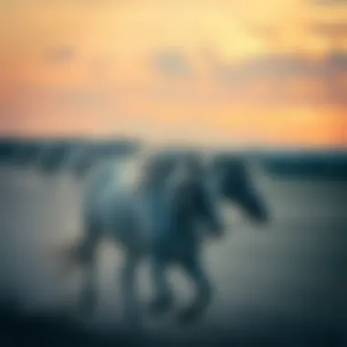 Magnificent 윌리엄 힐의 세계: 베팅의 깊이와 전략