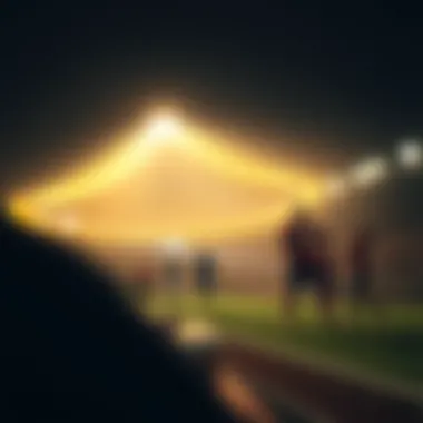 바카라 시스템 배팅: 전략과 실행 Summary 바카라 시스템 배팅: 전략과 실행 Summary