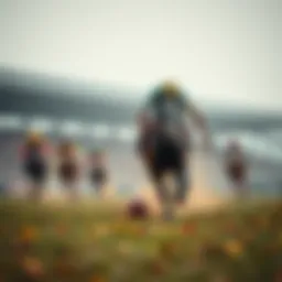 에볼루션 토토의 이해 및 활용 전략 Introduction