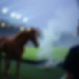 기대값 계산의 중요성과 적용 Introduction