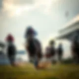 Strategic Overview of Horse Racing Predictions A strategic overview of horse racing predictions