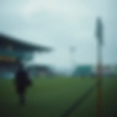 모바일 베팅의 모든 것 Summary