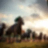 Exciting horse racing event