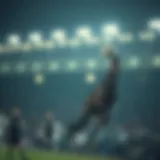 온라인 크랩스: 베팅 전략과 경험의 심층 분석 Introduction