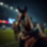 실제 머니 게임 앱에 대한 심층 분석 Introduction