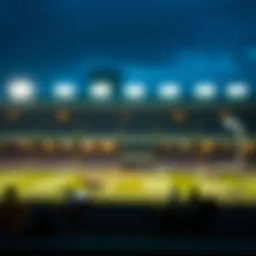 싱벳 북메이커 보너스에 대한 심층 탐구 Introduction