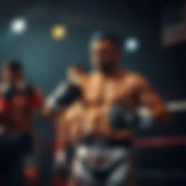 The evolution of mixed martial arts through the years